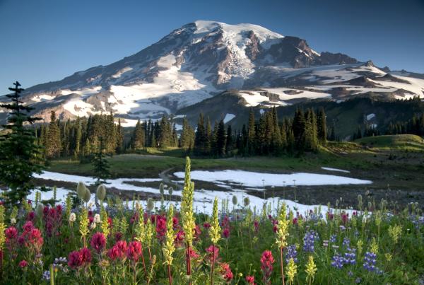 Los volcanes más peligrosos del mundo - Monte Rainier