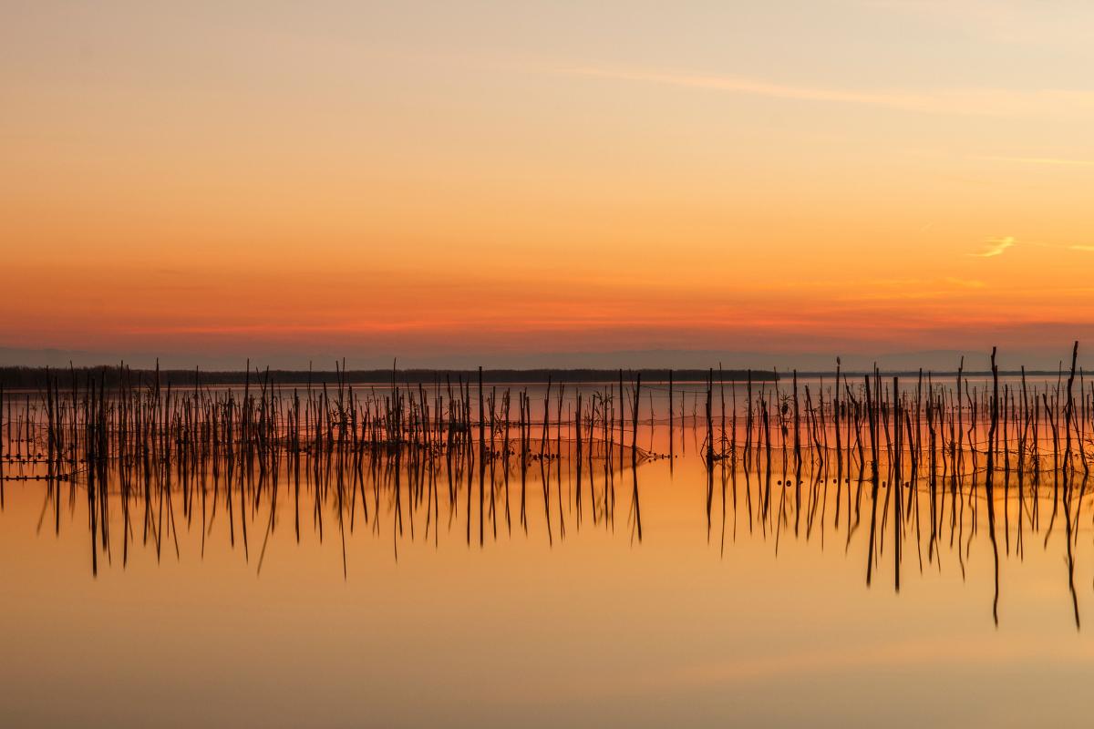 Qué es una albufera, cómo se forma y ejemplos