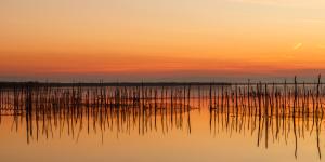 Qué es una albufera, cómo se forma y ejemplos