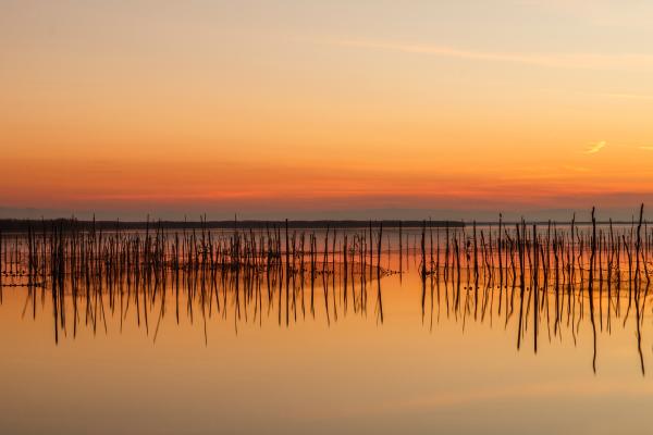 Qué es una albufera, cómo se forma y ejemplos