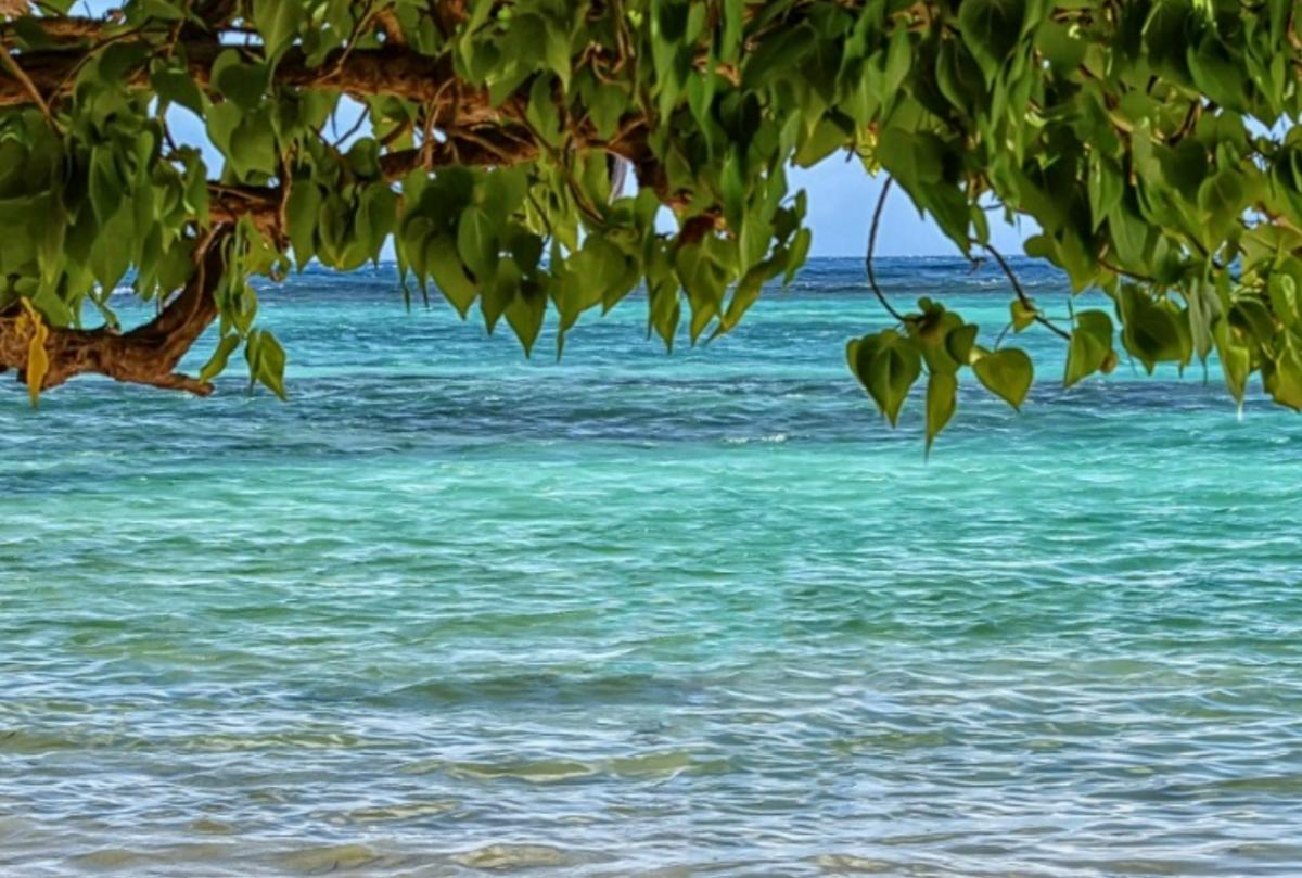 Por qué el agua del mar cambia de color