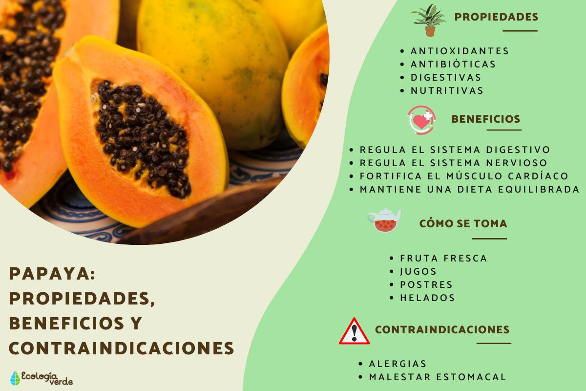 Papaya: propiedades, beneficios y contraindicaciones
