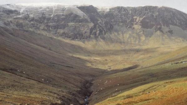 En el año 2000 plantaron solo 100 ramas y alejaron a miles de ovejas en Escocia: 25 años después, se ha convertido en un bosque de 750.000 árboles - Así era el valle de Escocia antes de que comenzara una de sus transformaciones más sorprendentes