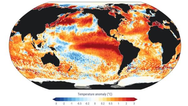 Los océanos alcanzan su temperatura más alta registrada y los científicos advierten: “Podría ser la mayor en 125.000 años” - ¿Estamos ante la temperatura del mar más alta de los últimos 125.000 años?