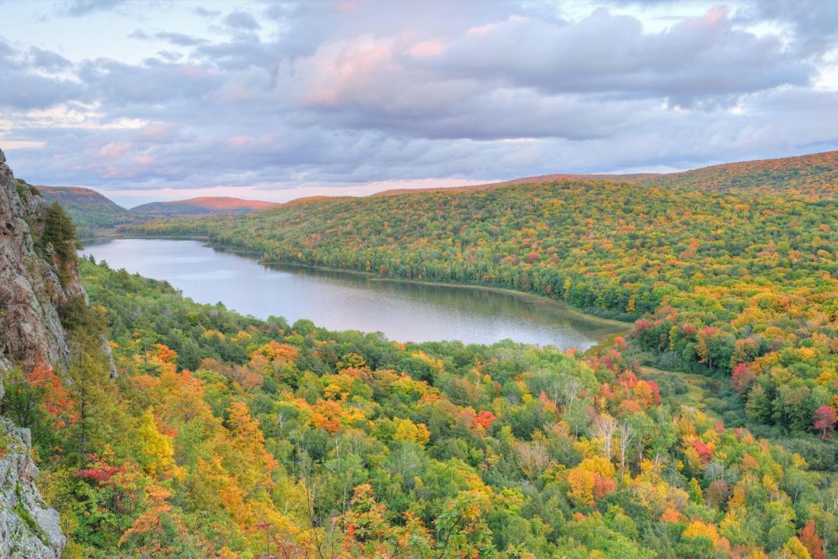Clima continental: qué es, características, flora y fauna