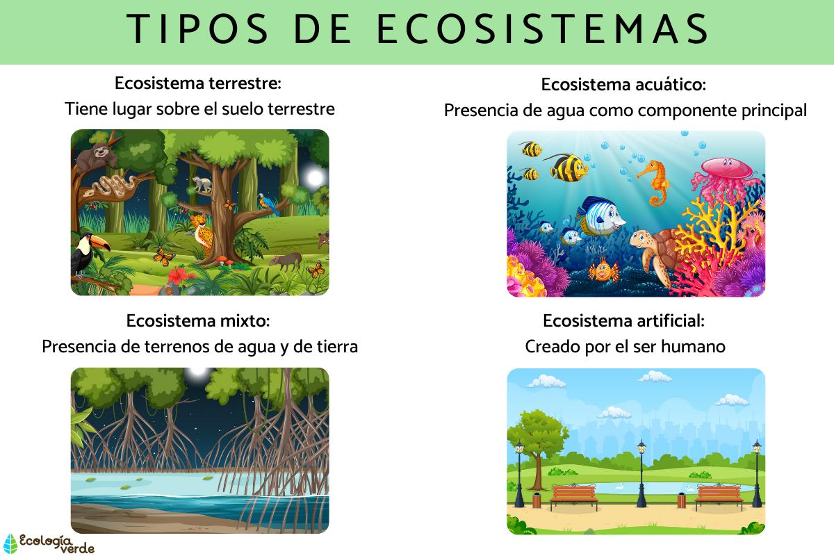 Tipos de ecosistemas