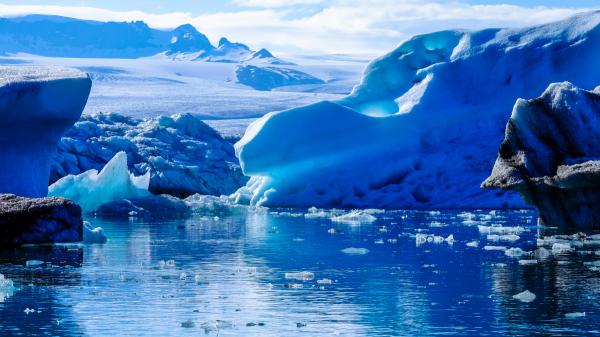 Hallazgo sin precedentes en la Antártida: descubren animales marinos nunca vistos por la ciencia - El glaciar Denman, el calentamiento del océano y por qué este hallazgo llegó en el momento menos esperado