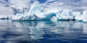 Hallazgo sin precedentes en la Antártida: descubren animales marinos nunca vistos por la ciencia