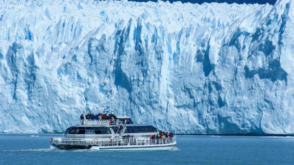 Hallazgo sin precedentes en la Antártida: descubren animales marinos nunca vistos por la ciencia - Una expedición con otro objetivo que terminó revelando un mundo oculto bajo el hielo antártico