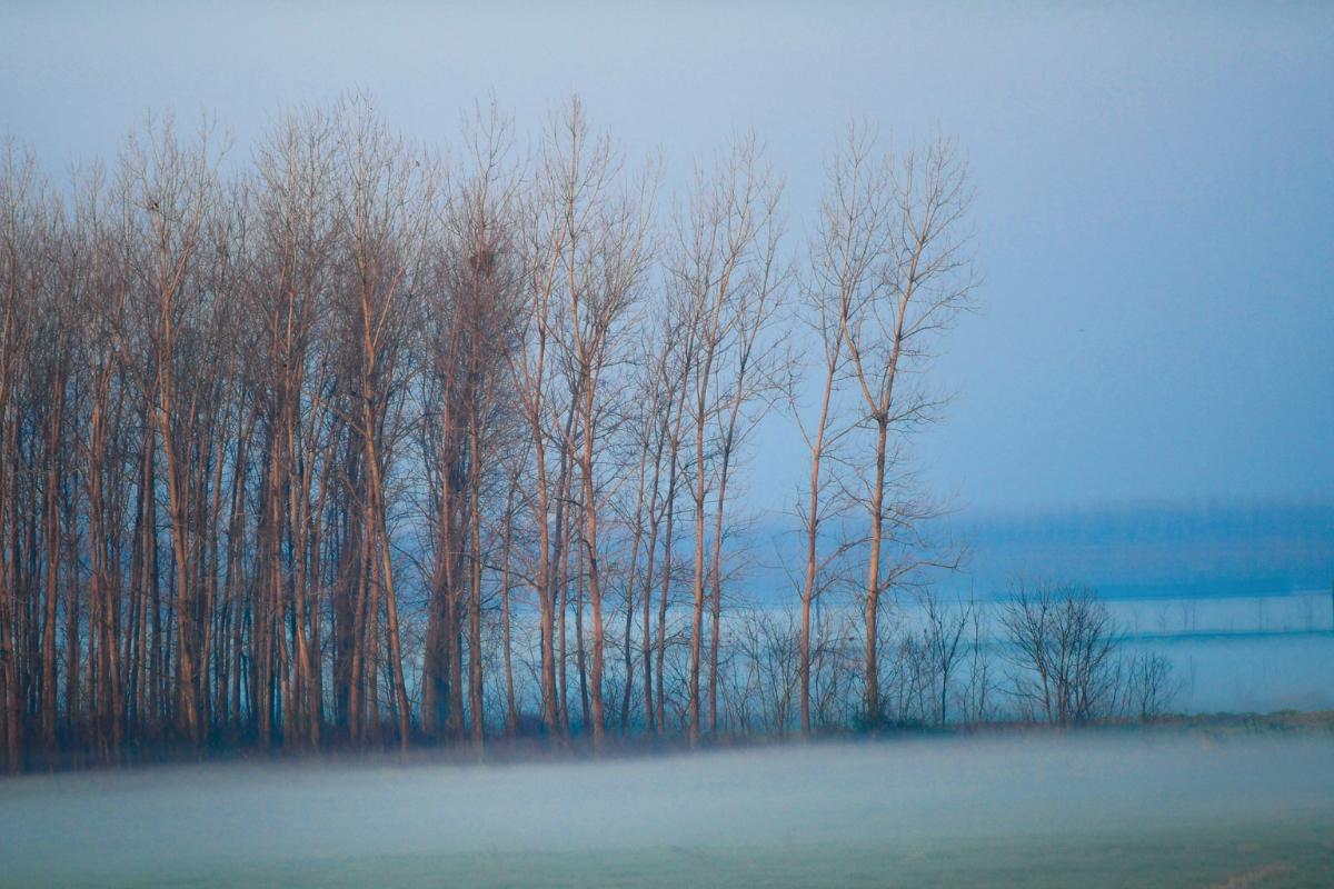 Niebla de advección: qué es y cómo se forma