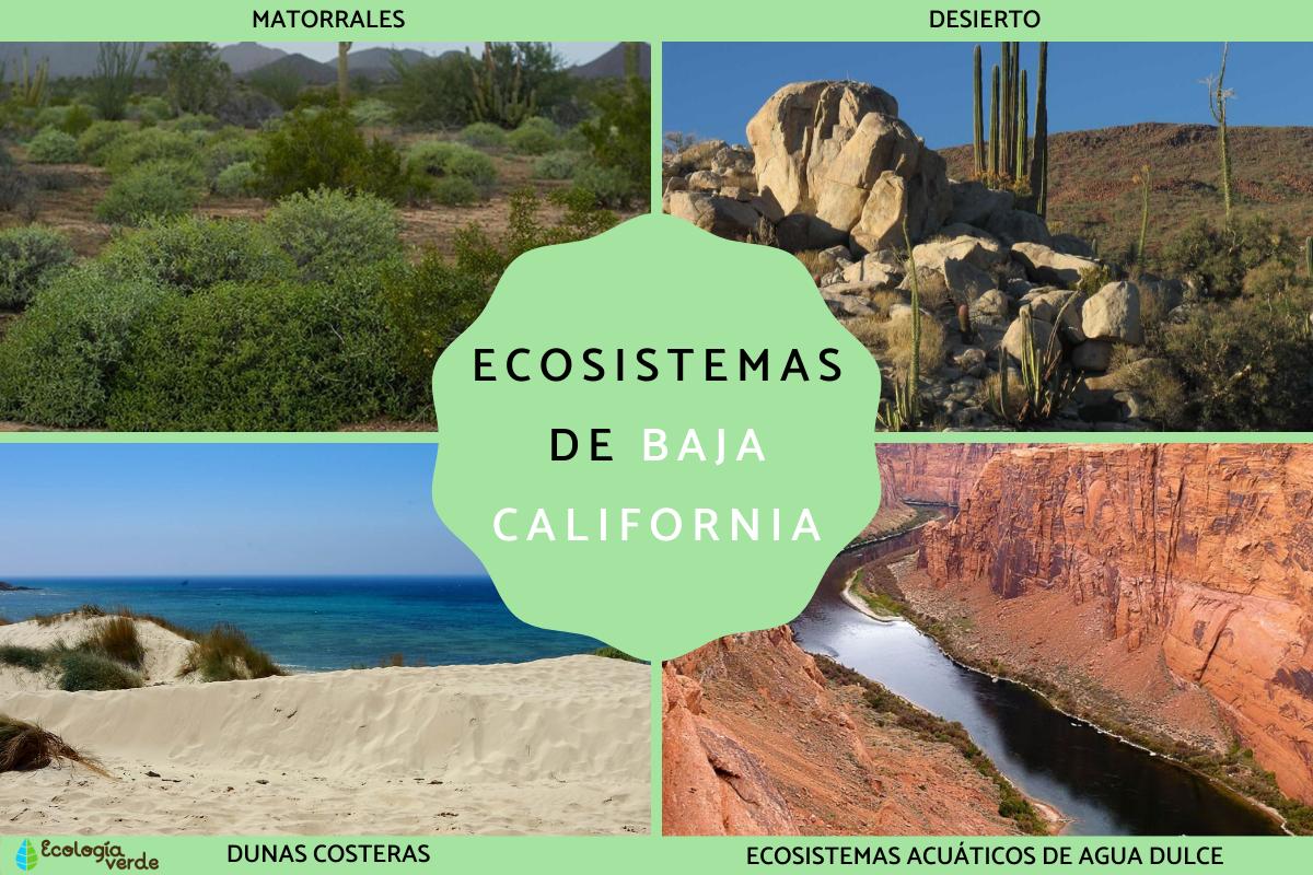 Ecosistemas de Baja California