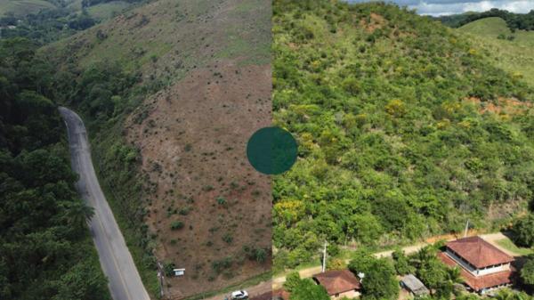 Plantaron un millón de árboles sobre una antigua finca ganadera y 25 años después ha regresado un animal que llevaba más de un siglo extinto en la región - Un millón de árboles y 710 hectáreas recuperadas: así renació el bosque