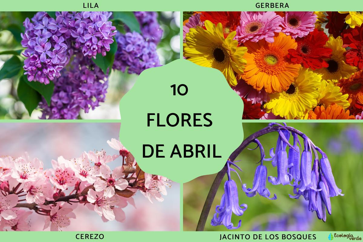 Flores de abril