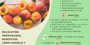 Melocotón: propiedades, beneficios, cómo comerlo y contraindicaciones