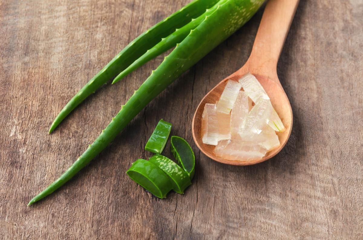 Aloe vera: propiedades, beneficios y contraindicaciones