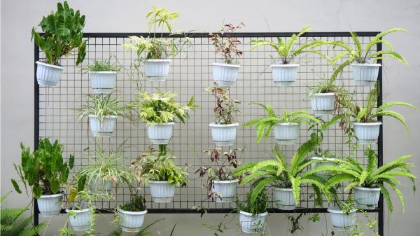 Las macetas tradicionales pasan a un segundo plano: la tendencia que gana fuerza para aprovechar al máximo los balcones pequeños - Estanterías, celosías y macetas colgantes para ganar espacio