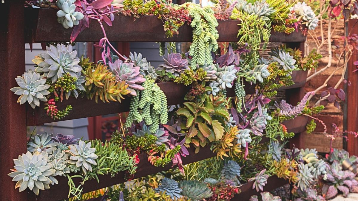 Las macetas tradicionales pasan a un segundo plano: la tendencia que gana fuerza para aprovechar al máximo los balcones pequeños