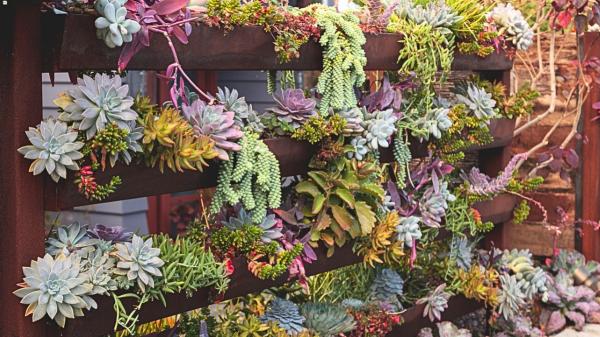 Las macetas tradicionales pasan a un segundo plano: la tendencia que gana fuerza para aprovechar al máximo los balcones pequeños