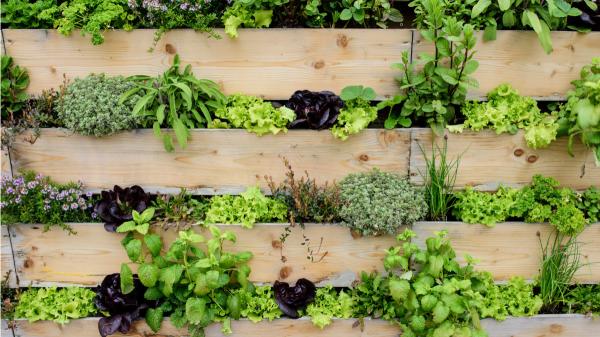 Las macetas tradicionales pasan a un segundo plano: la tendencia que gana fuerza para aprovechar al máximo los balcones pequeños - No todas las plantas sirven para cualquier balcón