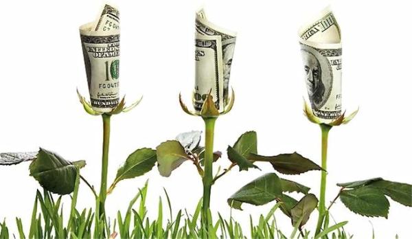 ¿Qué es la economía ecológica?