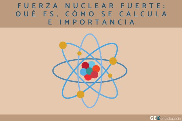 Fuerza nuclear fuerte: qué es, cómo se calcula e importancia