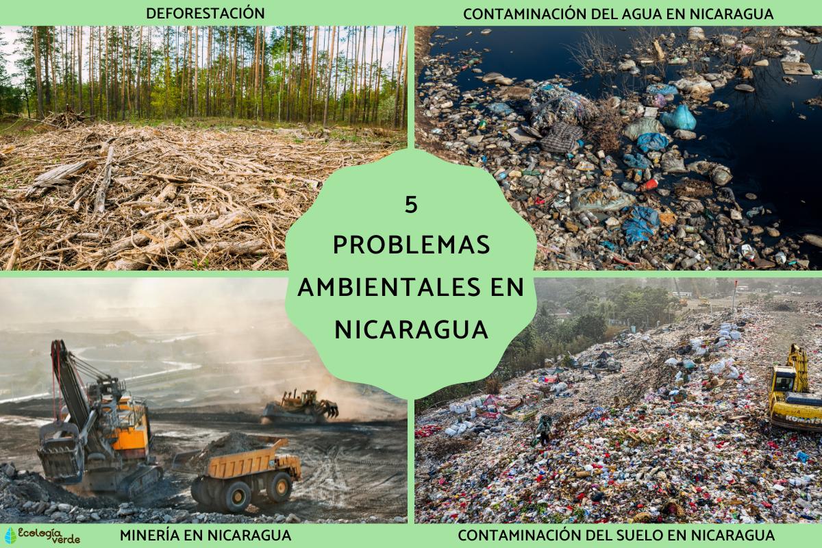 5 problemas ambientales en Nicaragua Causas y consecuencias