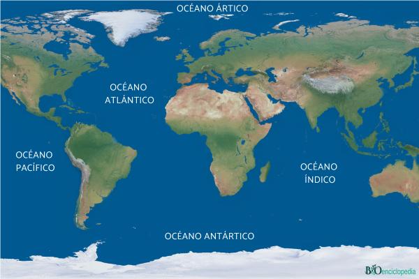 Océanos: qué son, cuántos hay y características - Cuántos océanos hay y sus nombres
