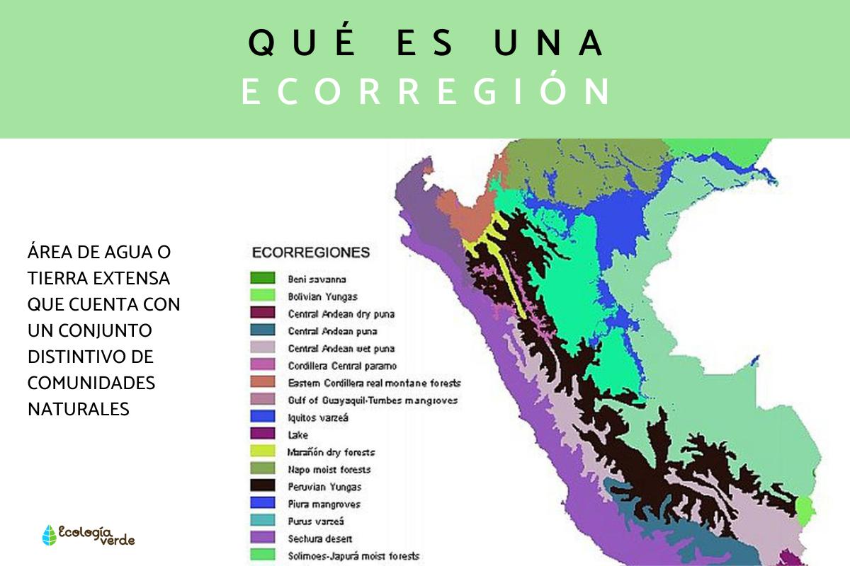 Qué es una ecorregión