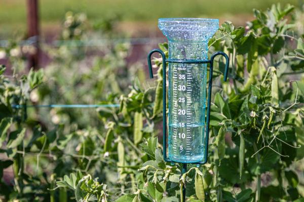 Pluviómetro: qué es, para qué sirve, cómo funciona y tipos - Cómo funciona un pluviómetro