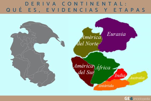 Deriva continental: qué es, evidencias y etapas