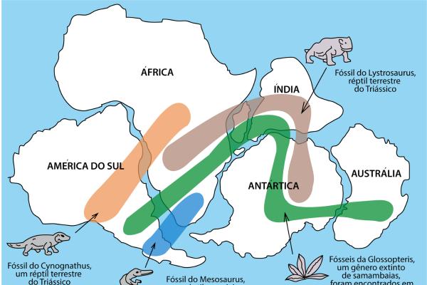Deriva continental: qué es, evidencias y etapas - Evidencias de la deriva continental