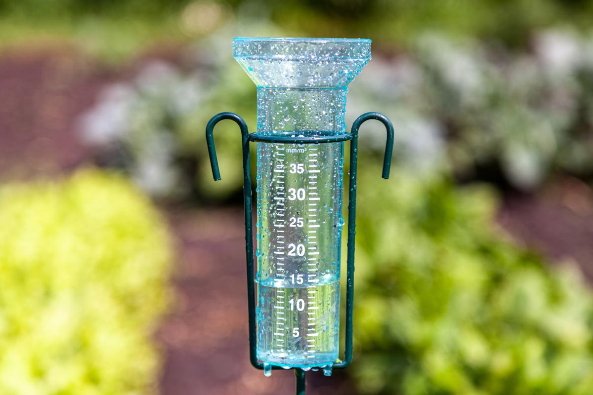 Pluviómetro: qué es, para qué sirve, cómo funciona y tipos