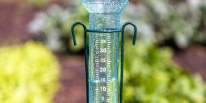 Pluviómetro: qué es, para qué sirve, cómo funciona y tipos
