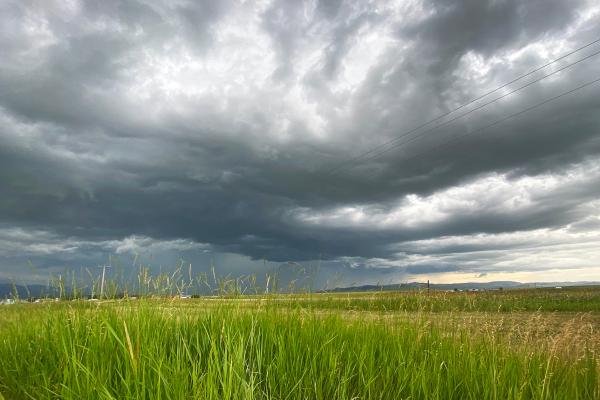 Tormentas de verano: qué son, por qué se producen y cuánto duran - ¿Cuánto duran las tormentas de verano?