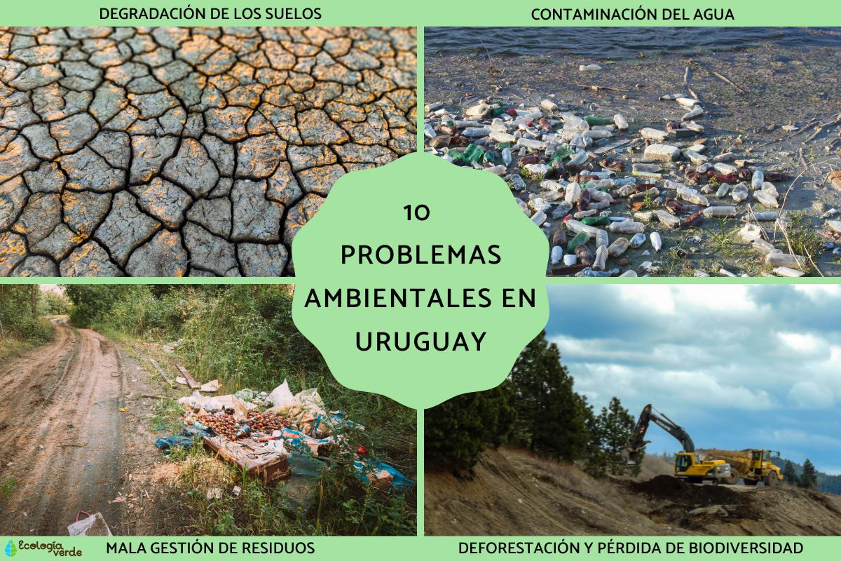 Problemas ambientales en Uruguay