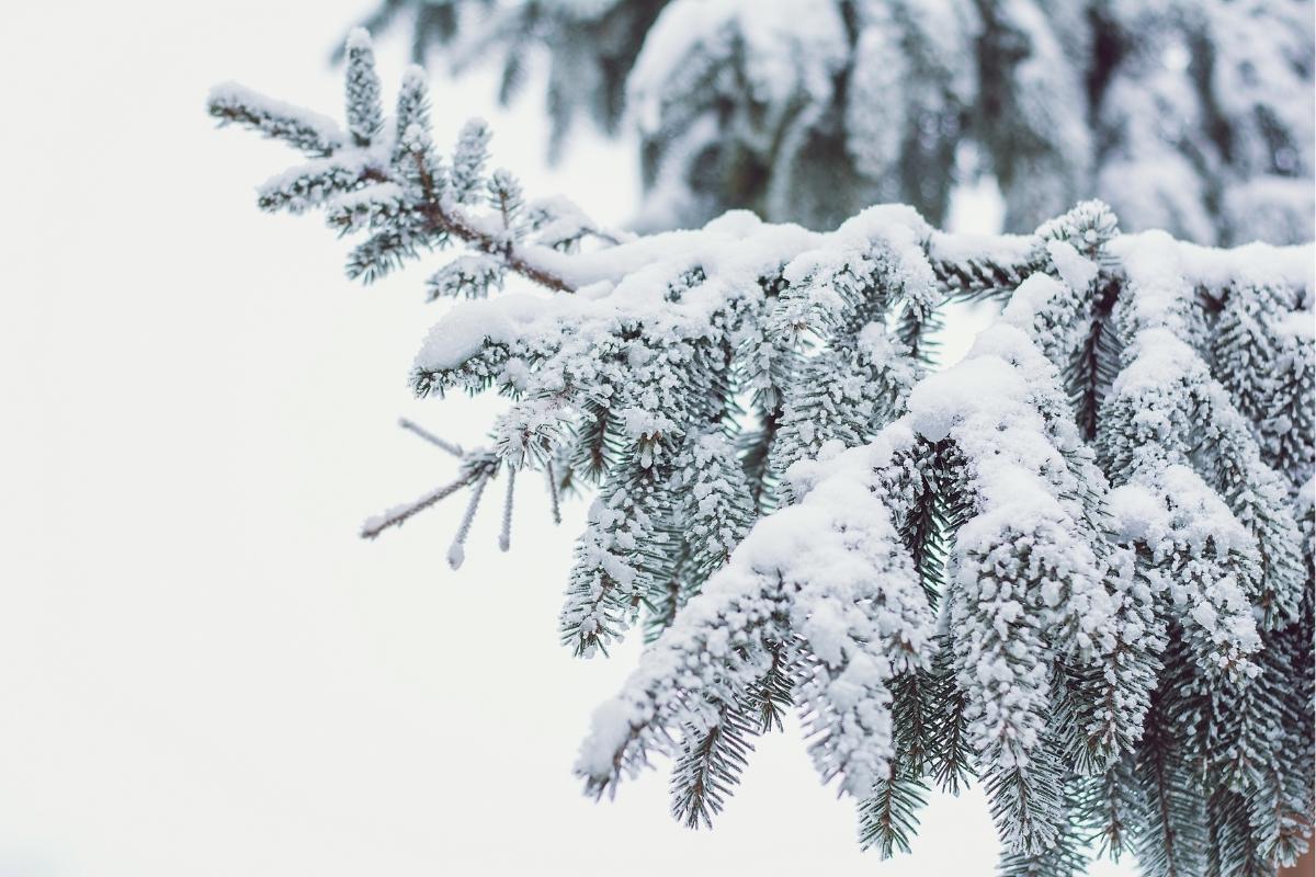 Gránulos de nieve o cinarra: qué son y cómo se forman