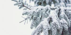 Gránulos de nieve o cinarra: qué son y cómo se forman