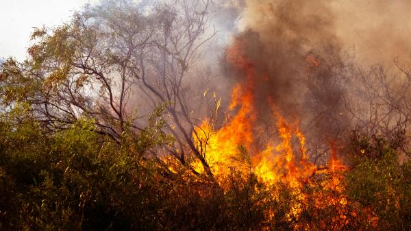 El verano en España ya no es como antes: por qué cada vez es más largo, más caluroso y más seco - Cómo la falta de lluvia y el calor extremo aumentan el riesgo de incendios y dañan los bosques