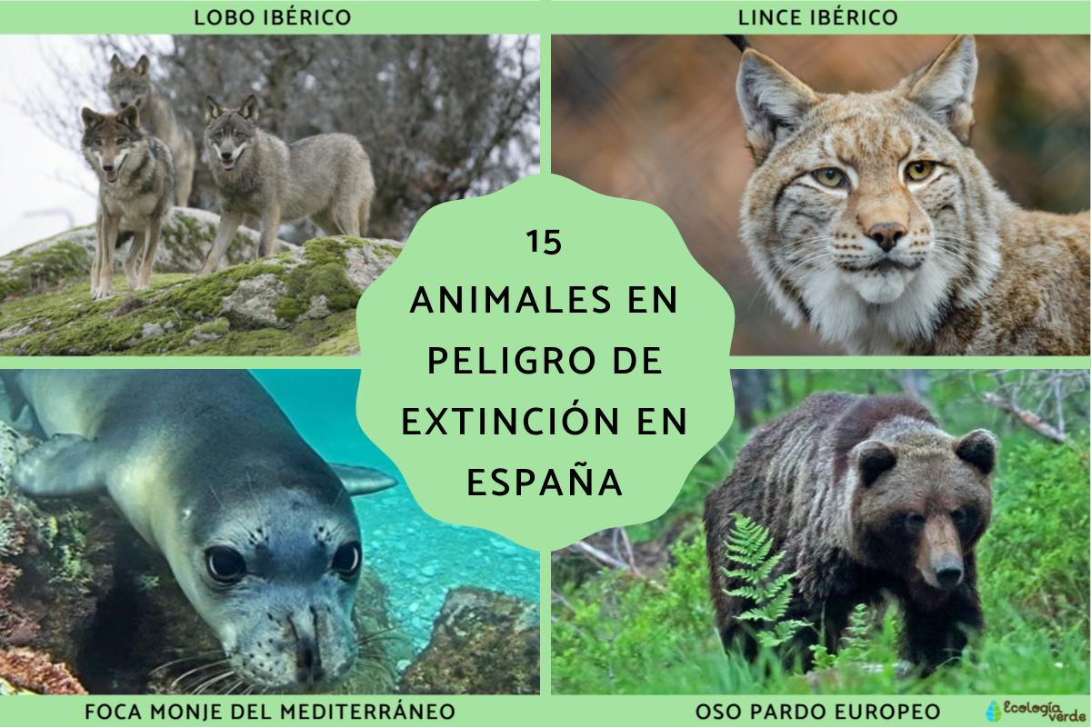 Animales en peligro de extinción en España