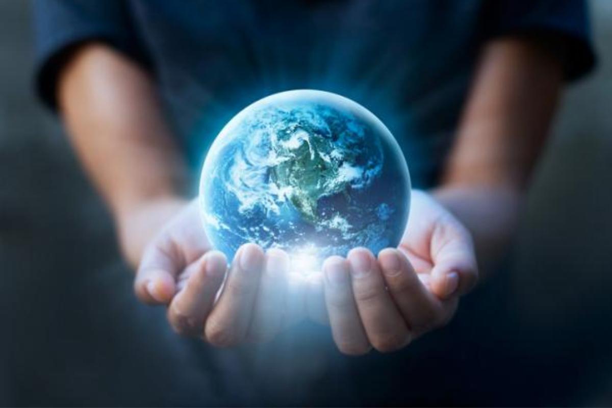 Qué es ecologismo y su diferencia con la ecología