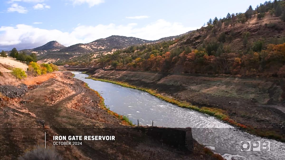 Tras derribar cuatro represas hidroeléctricas, una tribu indígena siembra millones de semillas para recuperar un río histórico de Estados Unidos
