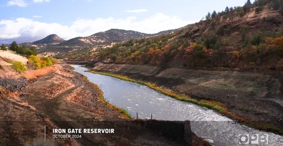 Tras derribar cuatro represas hidroeléctricas, una tribu indígena siembra millones de semillas para recuperar un río histórico de Estados Unidos