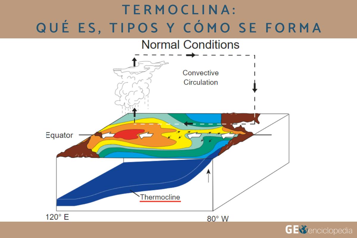 Termoclina: qué es, tipos y cómo se forma