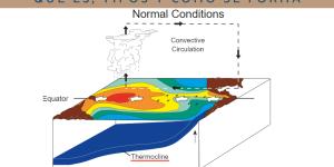 Termoclina: qué es, tipos y cómo se forma
