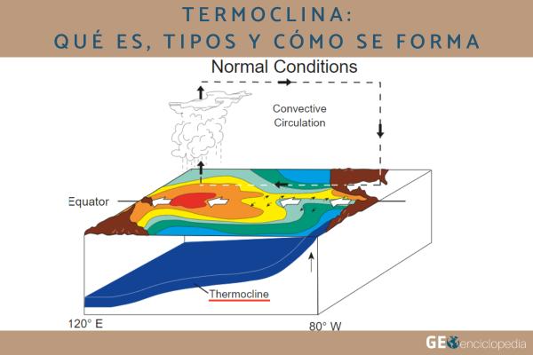 Termoclina: qué es, tipos y cómo se forma