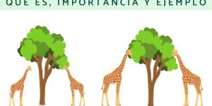 Teoría de Lamarck: qué es, importancia y ejemplo