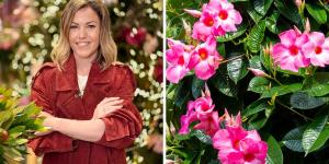 Natalia Sáez, experta en jardinería: “Si todo lo que pones en tu jardín o terraza se fríe, necesitas conocer esta planta superresistente”