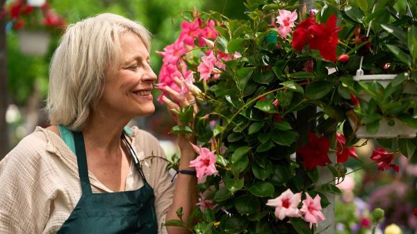 Natalia Sáez, experta en jardinería: “Si todo lo que pones en tu jardín o terraza se fríe, necesitas conocer esta planta superresistente” - Por qué cada vez más personas la eligen para terrazas y jardines