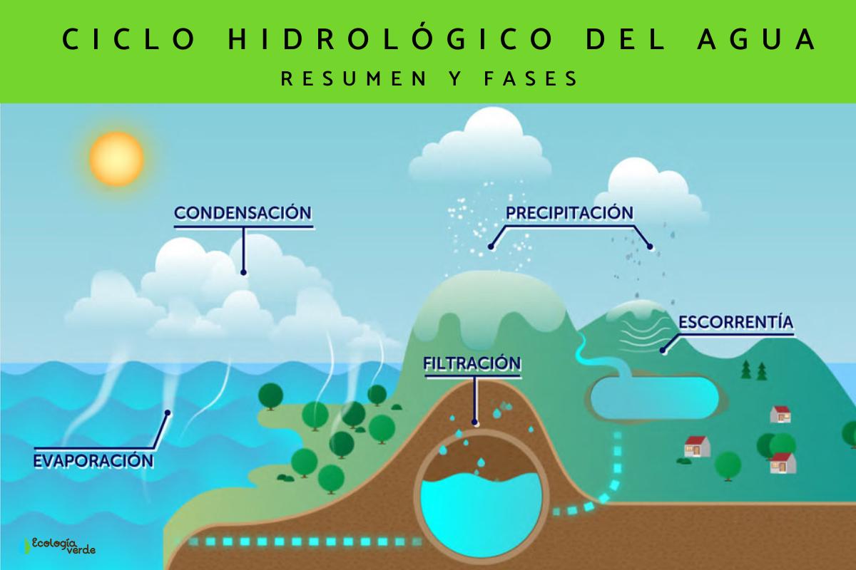 Qué es el ciclo hidrológico: etapas e importancia