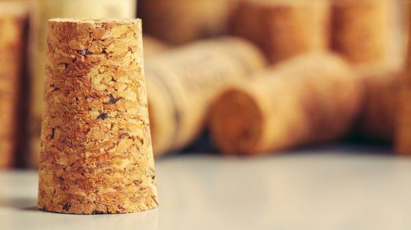 Colocar corchos de vino en las macetas: el truco para conservar la humedad, reducir el riego y proteger las raíces de las plantas - Para qué sirve poner corchos de vino sobre la tierra de las macetas